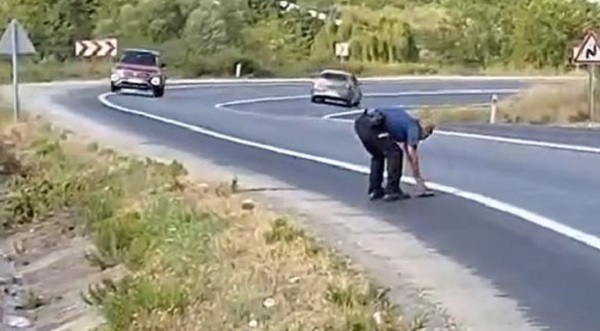 O polis kaplumbağayı böyle kurtardı