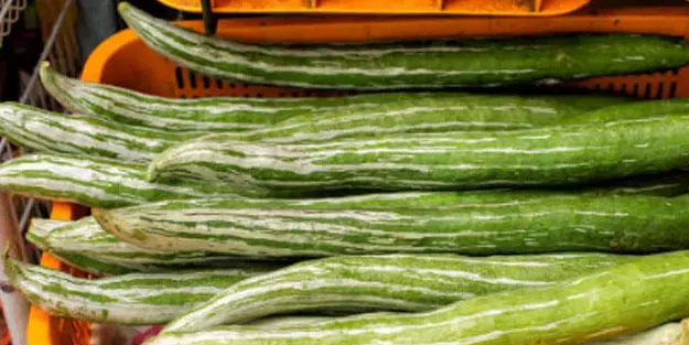 O salatalıktan bile daha sulu! Müthiş bir şey! Vücudu tepeden tırnağa yeniliyor