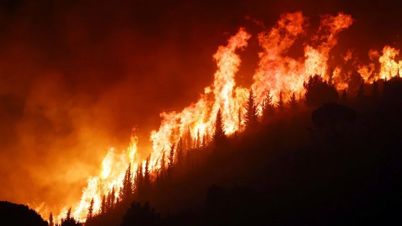 O şehirde 9 bin futbol sahası büyüklüğünde orman küle döndü!