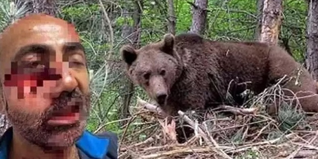O şehirde ayı saldırısı!