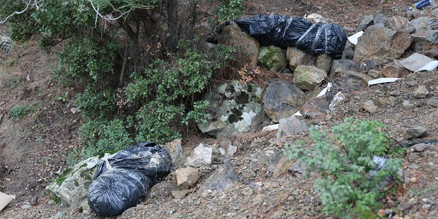 O şehirde çöp poşetlerinden köpek ölüleri çıktı!