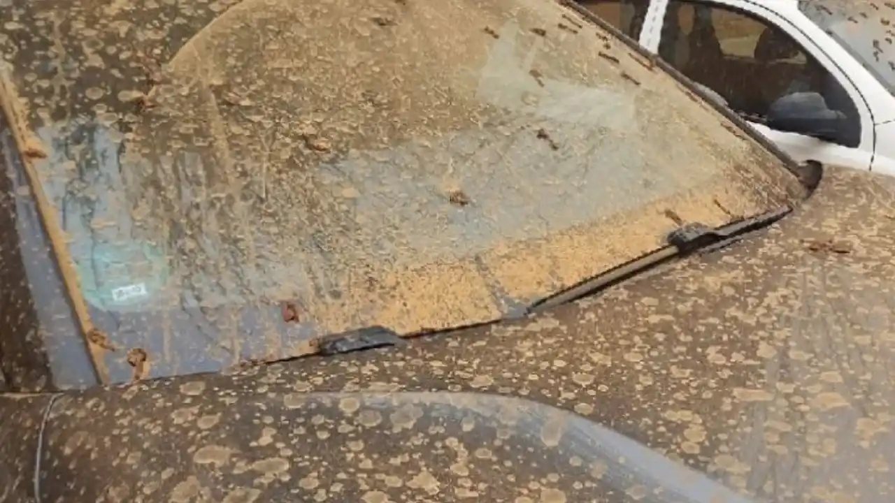 O şehre çamur yağdı!