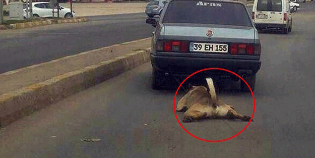 O sürücü bulundu… Akıl almaz savunma!