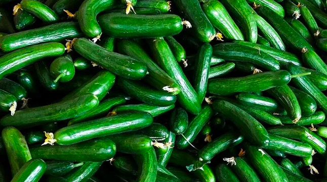 O tarif sosyal medyada viral oldu! Ülkede salatalık krizi çıktı