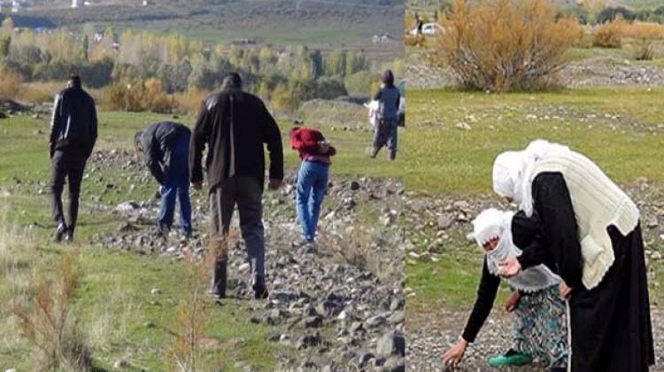 Bingöl'deki o taşlar bir anda geçim kaynağı oldu