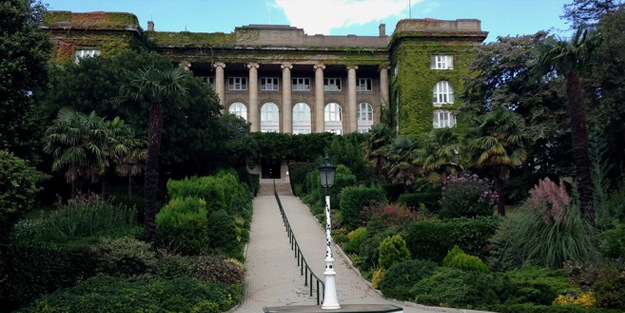 O tesiste çilekler 65 yaş üstüne ücretsiz!