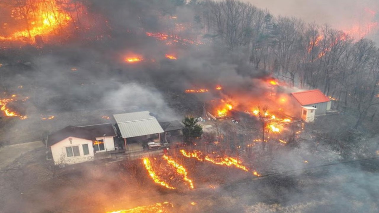 O ülke alevlere teslim: Yangın felaketinde can kaybı 18’e yükseldi