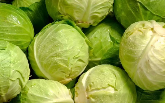 O ülke Türkiye'den gönderilen lahanaları apar topar iade etti! Vatandaşlar 'İnşallah biz yemeyiz' diyor