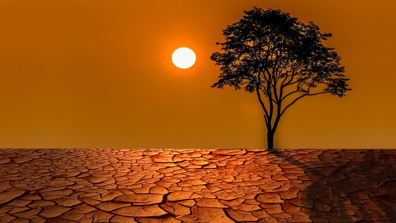O ülkede 2024 en sıcak yıl ilan edildi