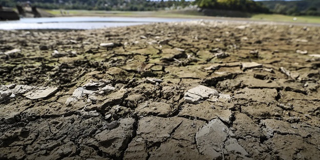 O ülkede alarm: Yüzde 20'sini kaybedeceğiz