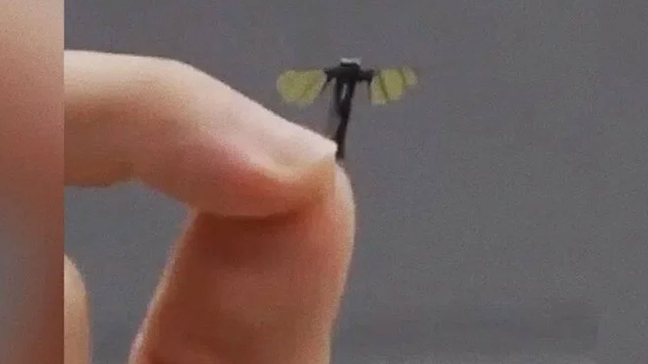O ülkede görülmemiş devrim! Sinek büyüklüğünde drone üretti