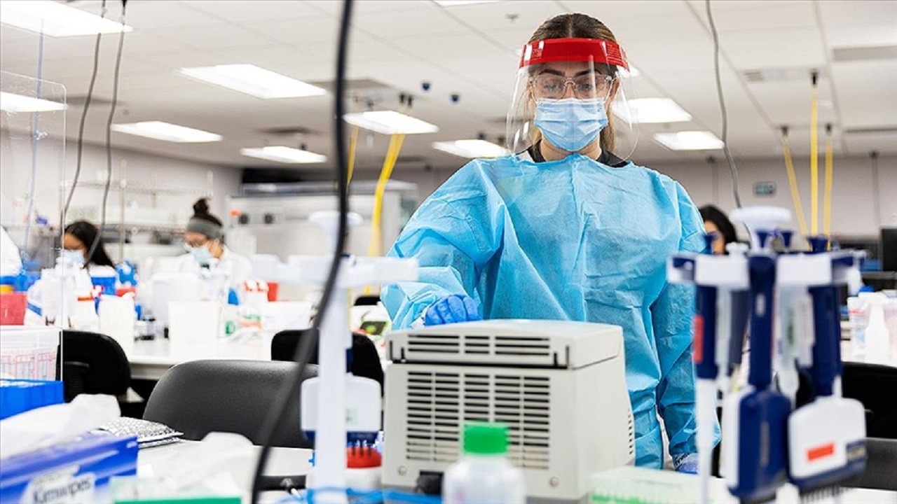 O ülkede ilk kez M çiçeğinin yeni varyantı tespit edildi