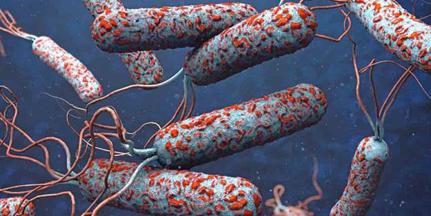 O ülkede kolera patlak verdi: Vaka sayısı 2 bine yaklaştı