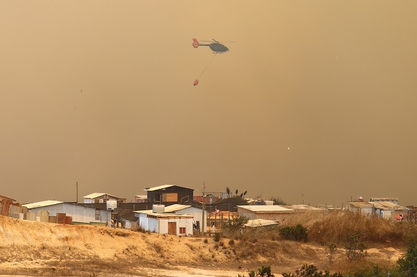 O ülkede orman yangını can aldı: 19 ölü