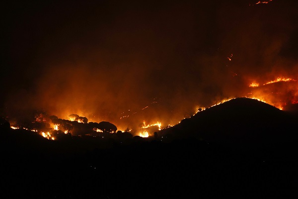 O ülkede orman yangınları günlerdir sürüyor
