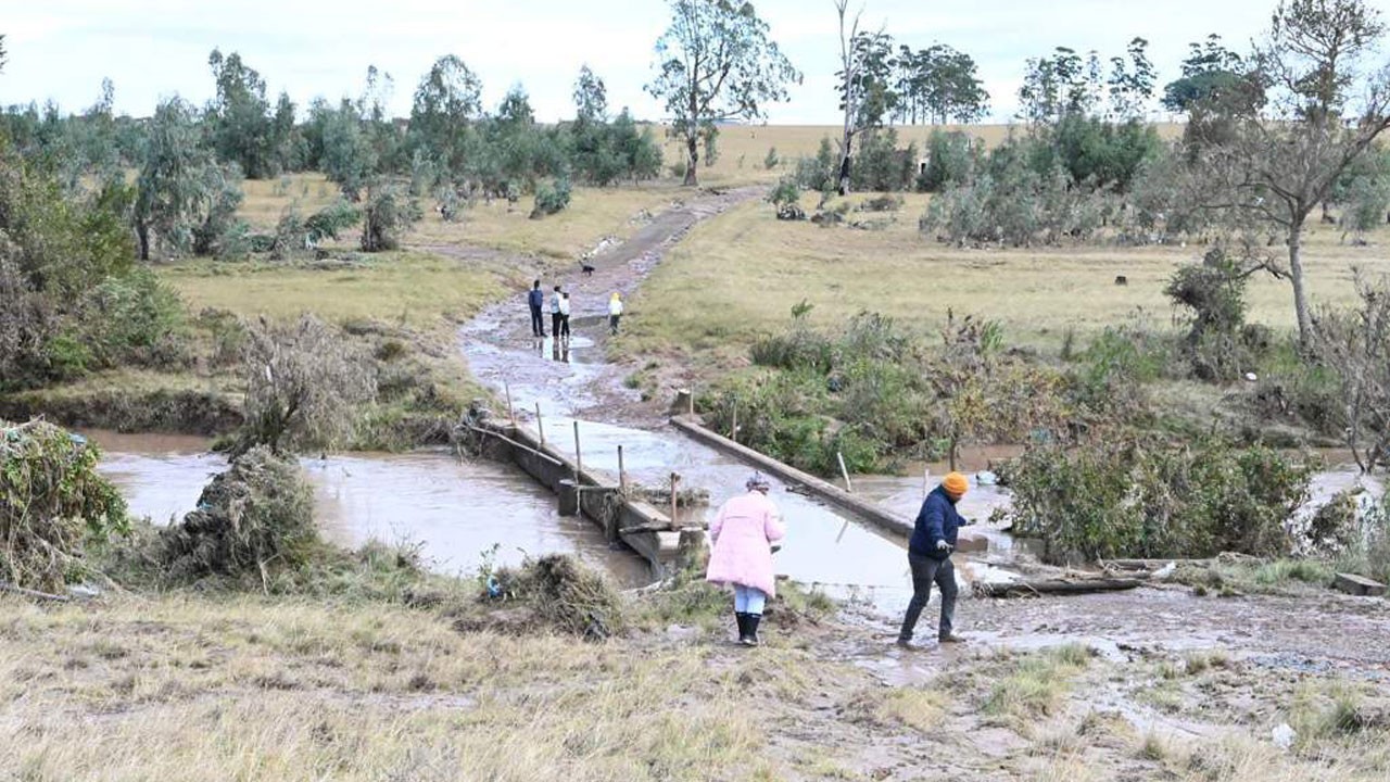 O ülkede sel kabusu! Can kaybı 57’ye yükseldi