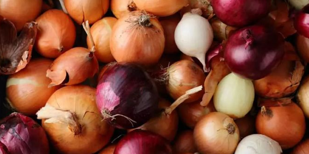 O ülkede soğan, etten bile değerli