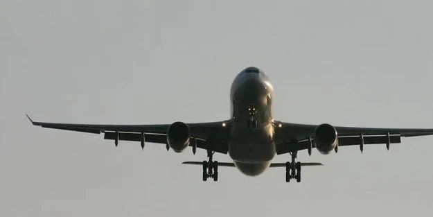 O ülkede uçakta yolcuyu akrep soktu! Doktorlar müdahale etti, dakikalarca incelendi! Korkunç olay