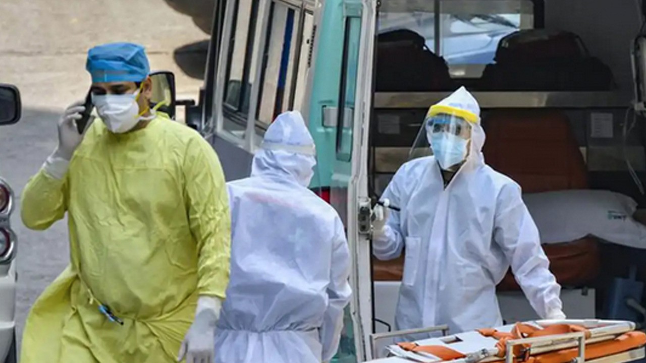 O ülkede yeni bir gizemli hastalık tavukları vurdu! Şok eden salgın paniği