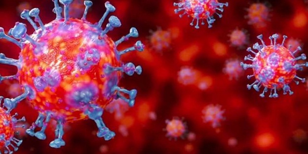 O ülkenin Cumhurbaşkanı, kendini karantinaya aldı