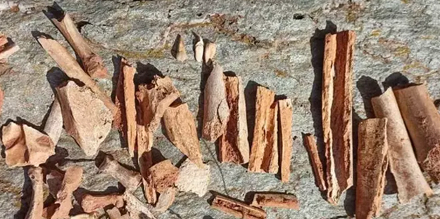 O ülkenin köyü defineciler tarafından tahrip edildi: Şoke eden manzara! Diş, kafatası, kemikler bulundu