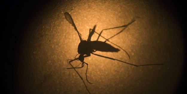 O virüs bu yolla bulaşıyormuş