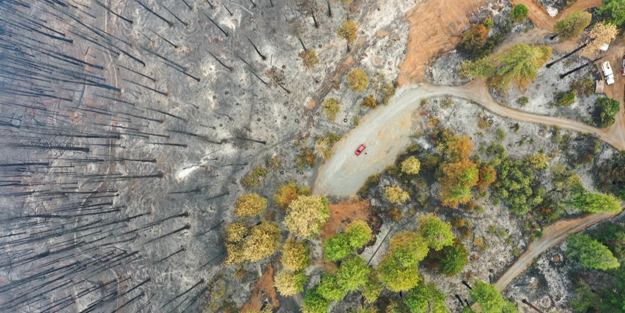 O yangında 11 binden fazla kişi tahliye edildi!