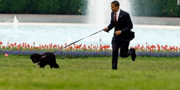 Obama'nın köpeğini kaçıracaktı! Yakalandı