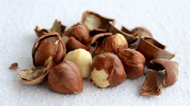 Obeziteye karşı bir avuç fındık