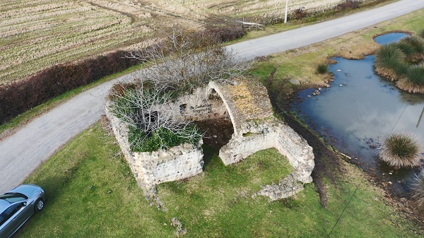 'Ocağına incir ağacı dikmek' deyimi gerçek oldu! Tarihi hamamda ilginç manzara