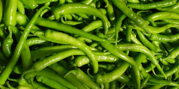 Ocakta en fazla sivri biberin fiyatı arttı