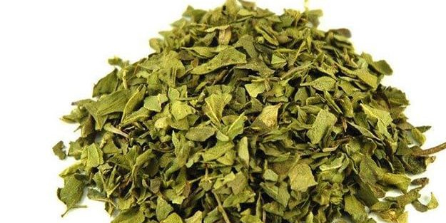 Ödem şişliklerinden kurtarıyor beyni güçlendiriyor