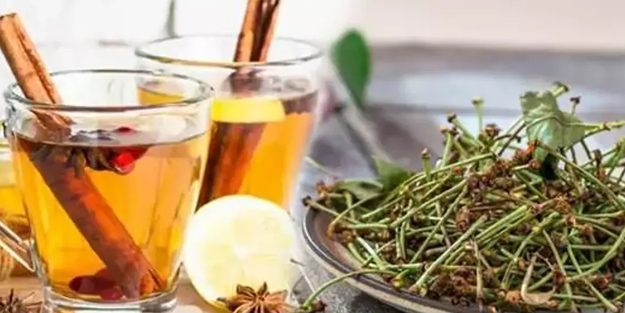 Ödem söktüren kiraz sapı çayı! Sakın çöpe atmayın: Sağlığa en büyük destek, alan kazanır! Nöbet tutan ödemlere veda