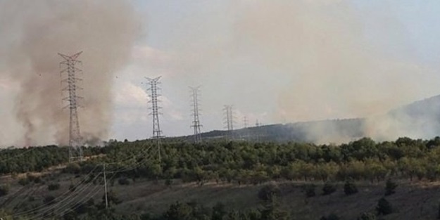 ODTÜ ormanında yangın