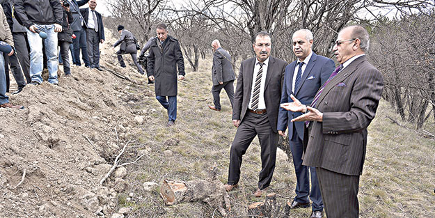 ODTÜ’den ağaç katliamı