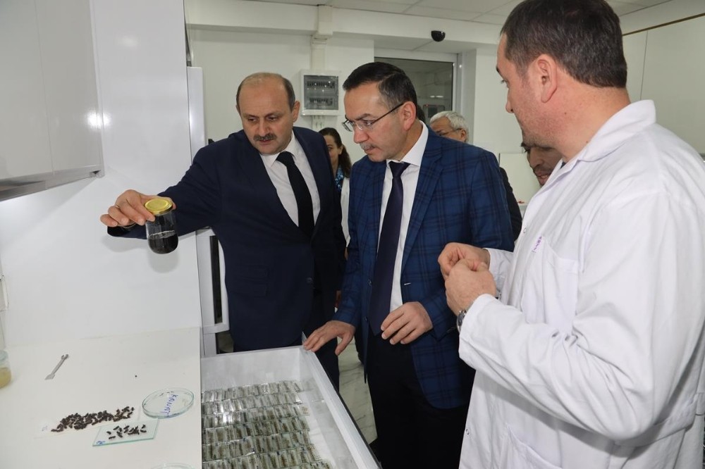 ODÜ-Ordu Arıcılık Araştırma Enstitüsü iş birliği 