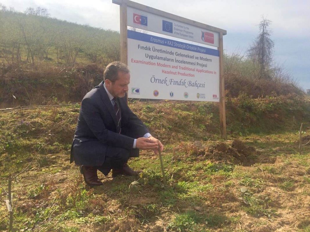 ODÜ, Türk fındığını uluslararası arenaya taşıdı 