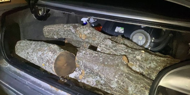 Odun hırsızına suçüstü