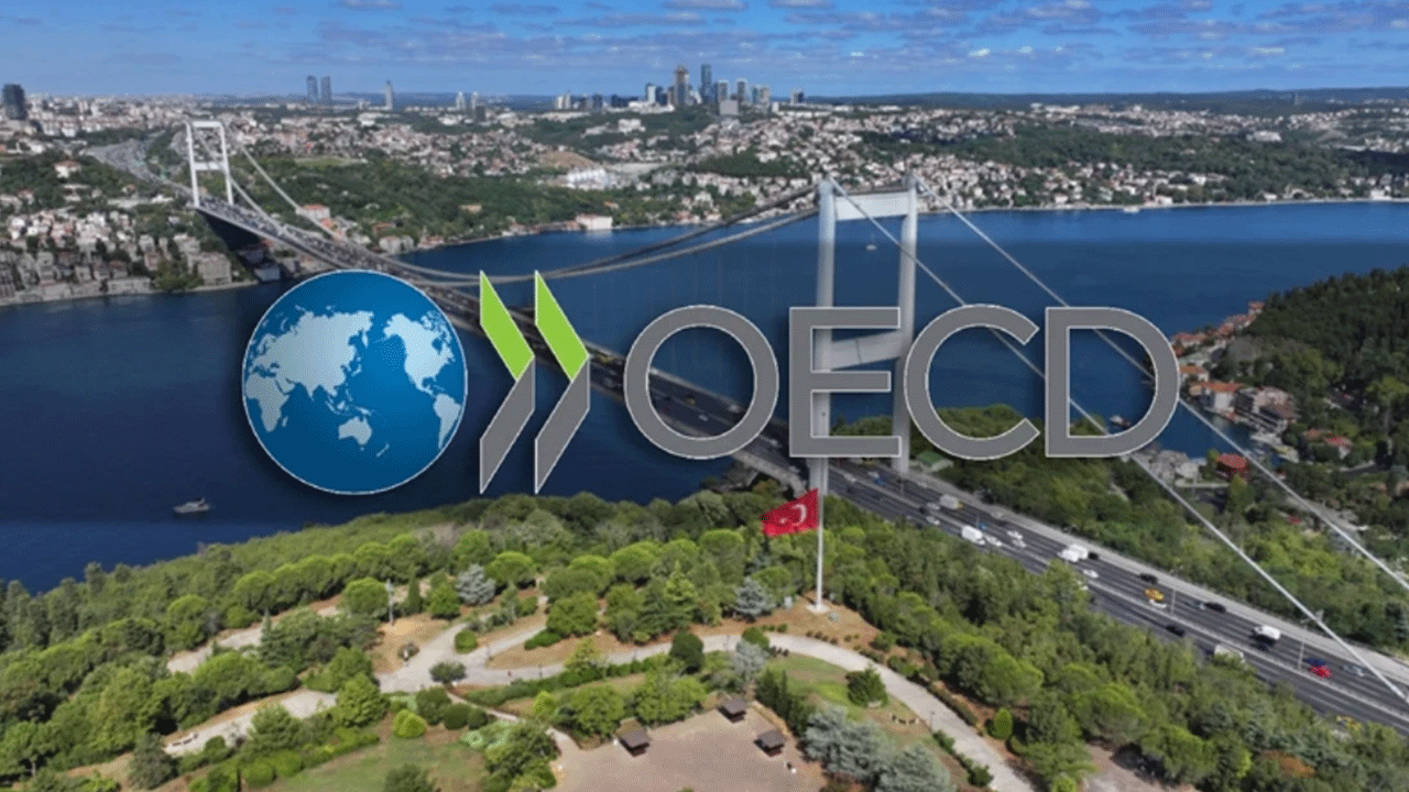 OECD Türkiye'nin ekonomi raporunu açıkladı!