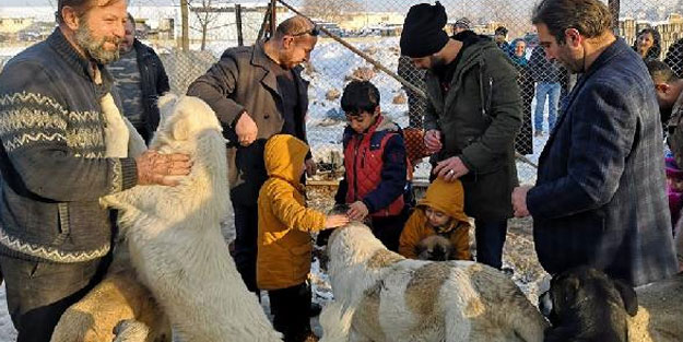 Off Road tutkunlarından sokak hayvanlarına mama desteği