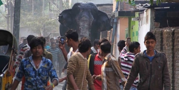 Öfkeli bir fil köylülere saldırdı