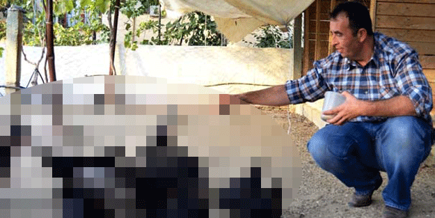 Oğlu internetten gördü istedi, o da bu işe girdi… Şimdi talep yağıyor