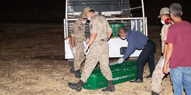 'Oğlum 3 gündür kayıp' demişti! Acı haberi aldı - Vimarsana News