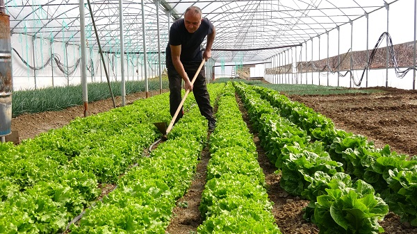 Oğlunun tavsiyesini dinledi kendi işinin sahibi oldu