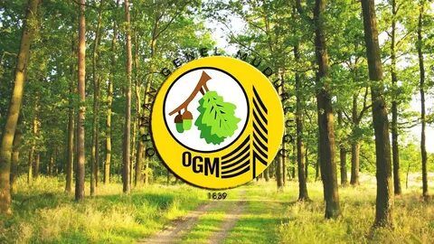 OGM danışman arıyor