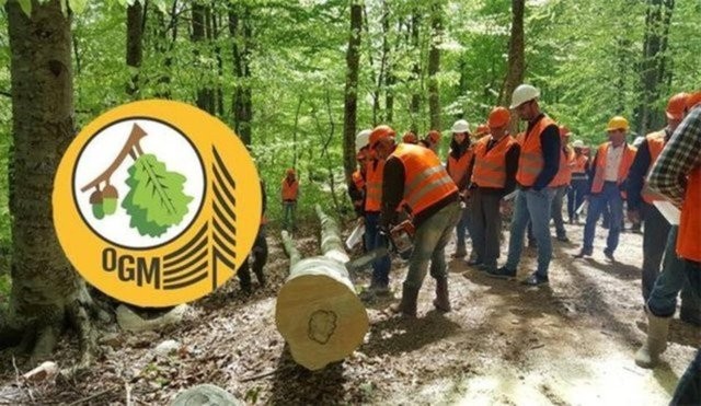 OGM, engelli ve eski hükümlü işçi alacak