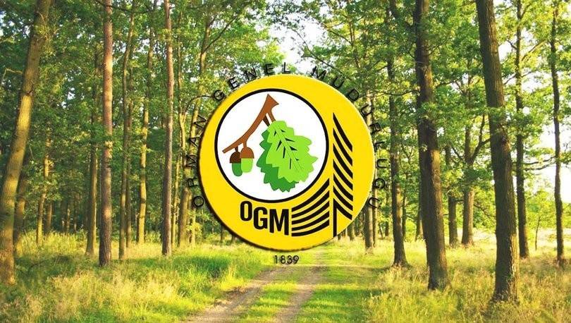 OGM orman mühendisleri alacak