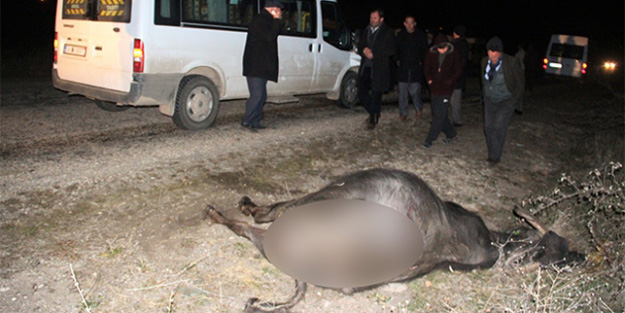 Öğrenci servisi mandaya çarptı