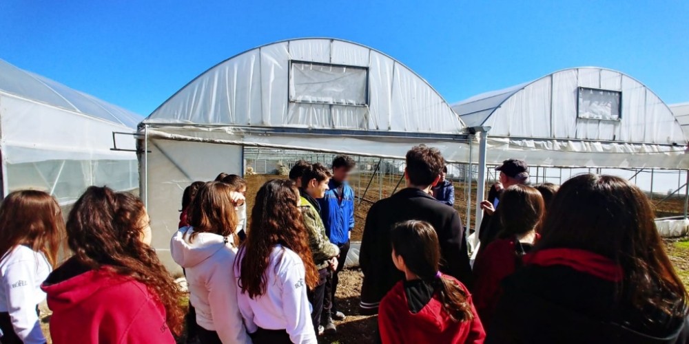 Öğrenciler çiflik evi ve serada gözlemde bulundular 