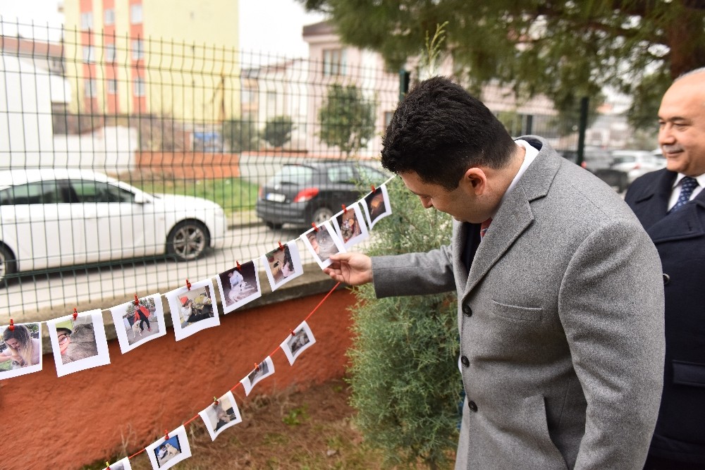 Öğrenciler istedi Başkan Avcı kedi evini teslim etti 